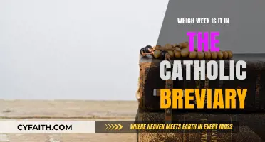 Understanding the Catholic Breviary: Current Week and Liturgical Cycle