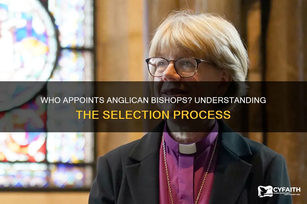 who appoints anglican bishops