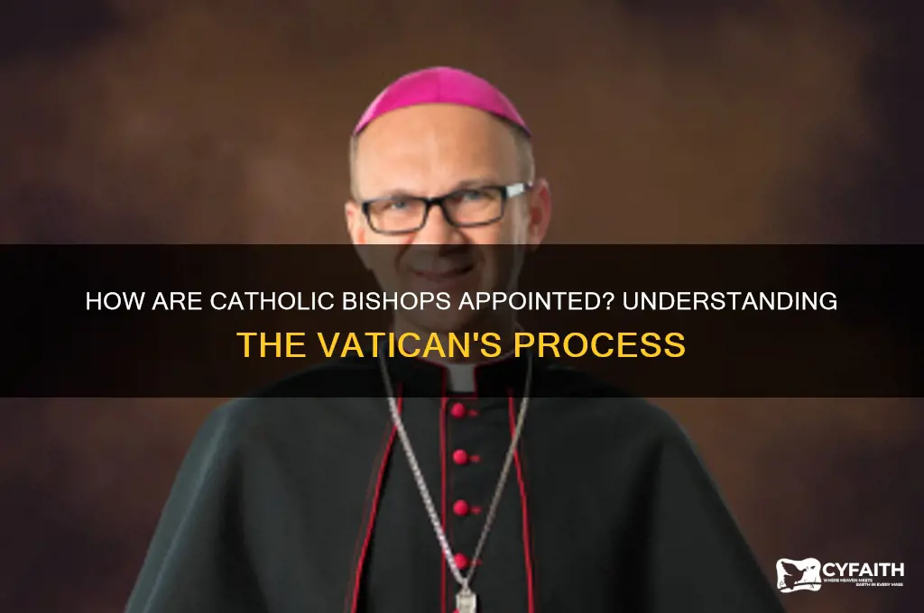 who appoints catholic bishops
