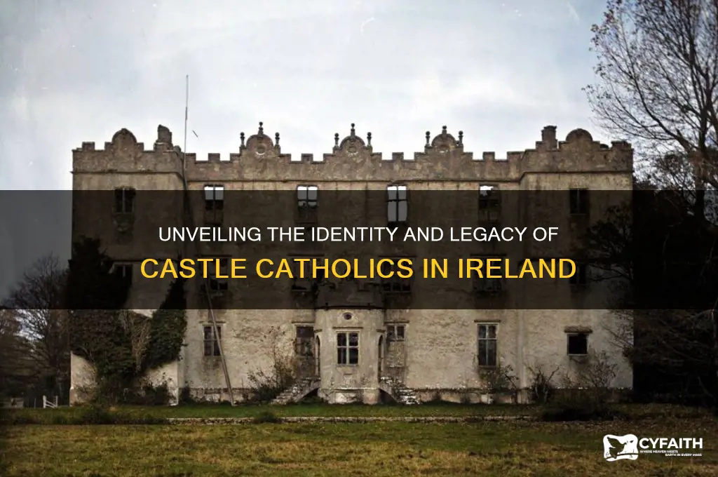 who are castle catholics
