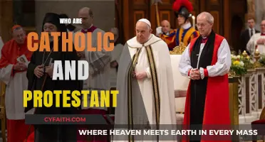 Understanding the Historical and Theological Differences Between Catholics and Protestants