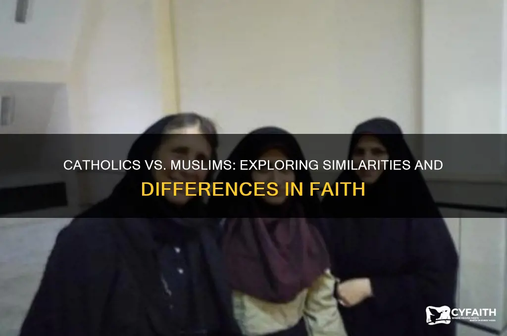 who are catholics and muslims the same