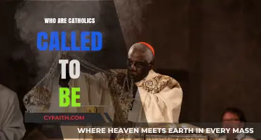 Called to Holiness: Understanding the Catholic Identity and Mission