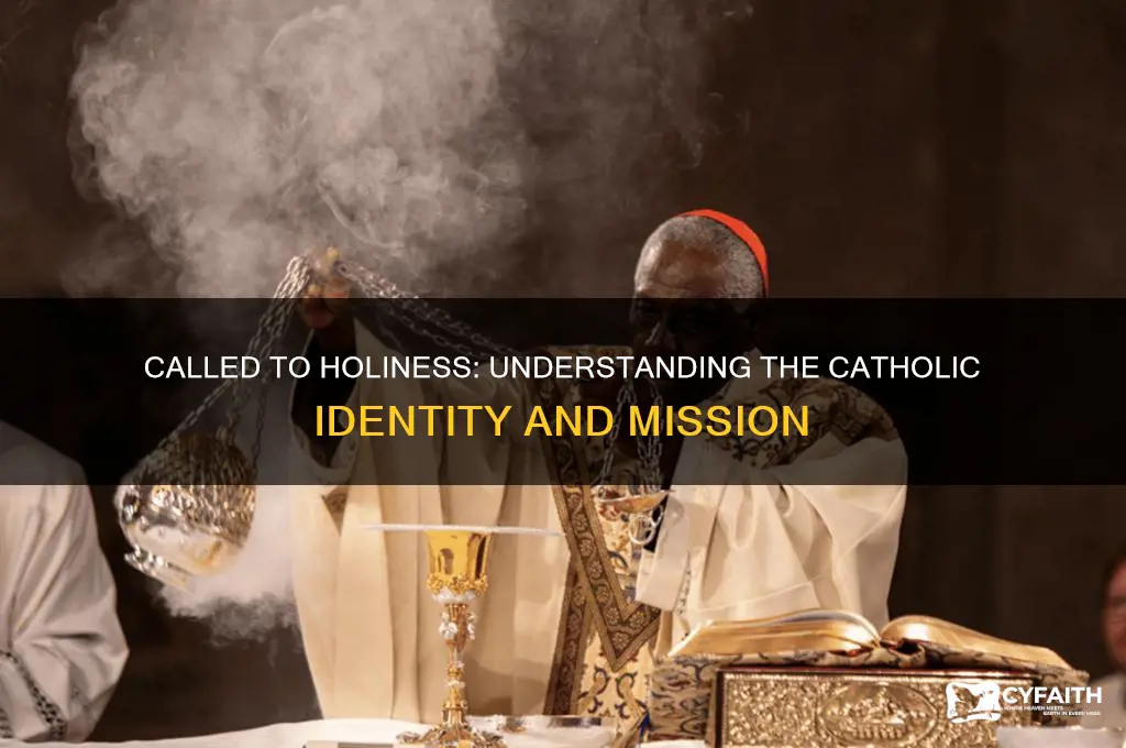 who are catholics called to be
