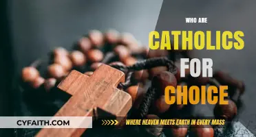 Understanding Catholics for Choice: Beliefs, Mission, and Impact Explained