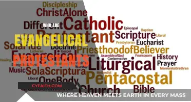 Understanding Evangelical Protestants: Beliefs, Practices, and Influence