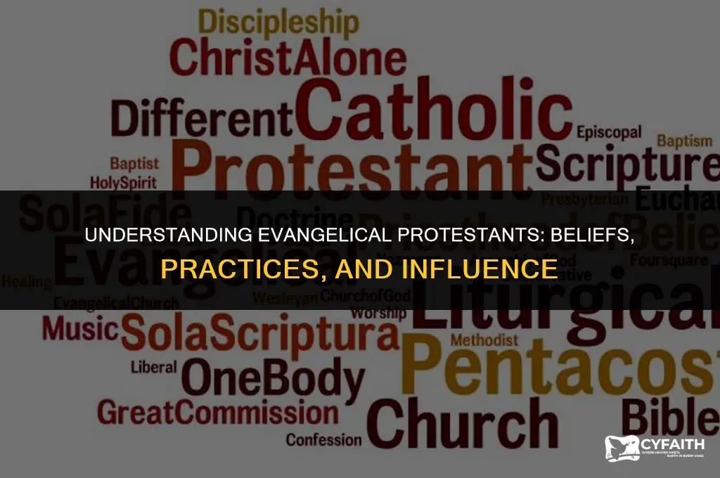 who are evangelical protestants