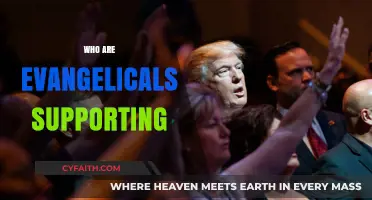 Unveiling the Political Allies of Evangelical Christians