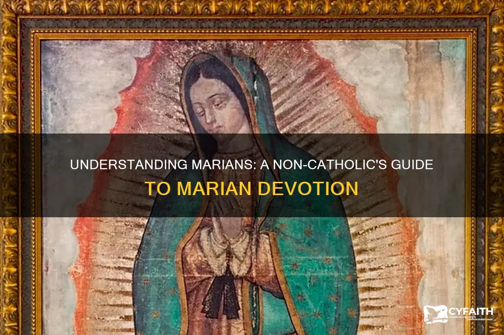 who are marians for non-catholics