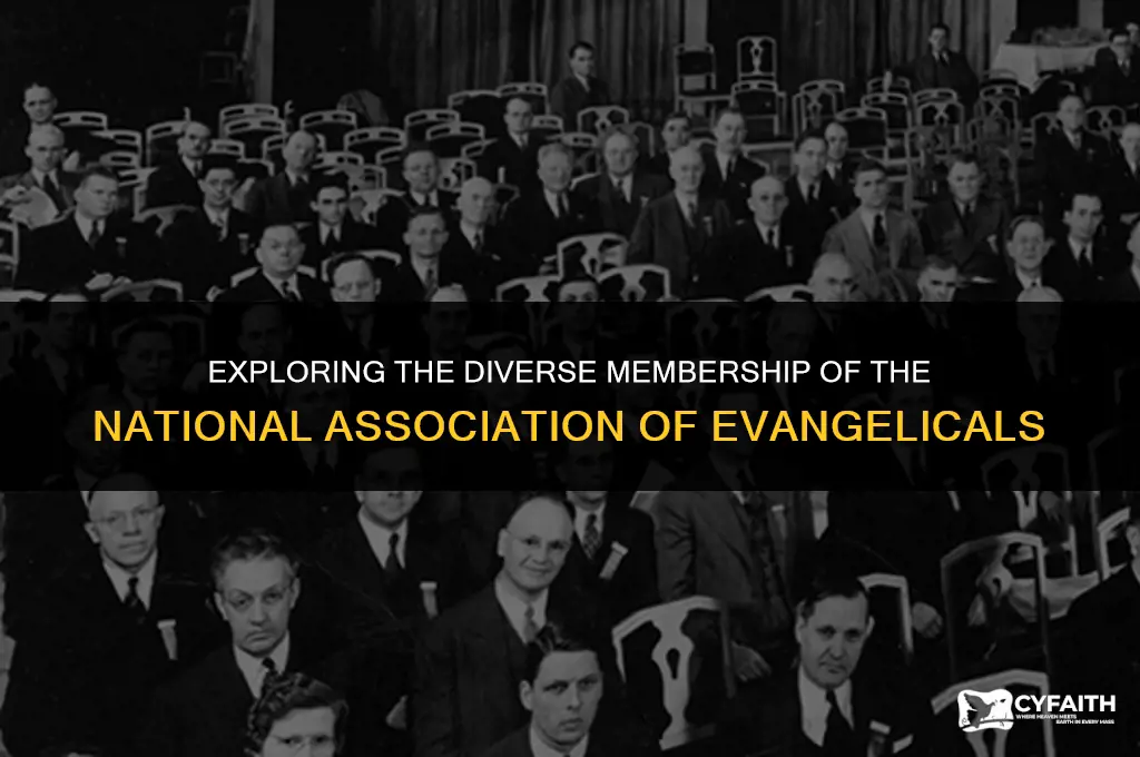 who are members of national association of evangelicals
