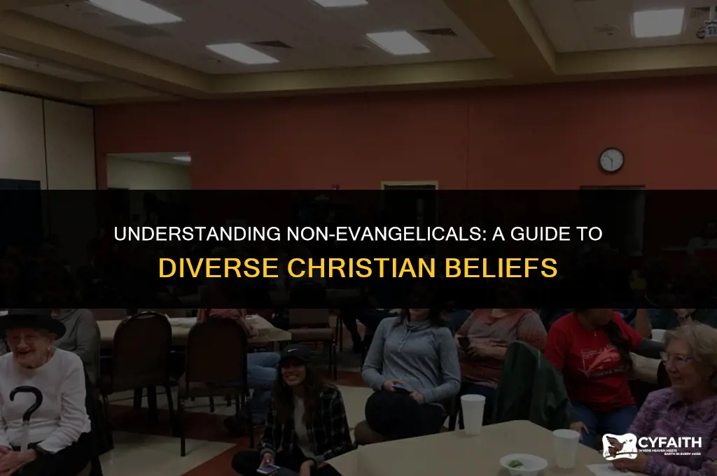 who are non evangelicals