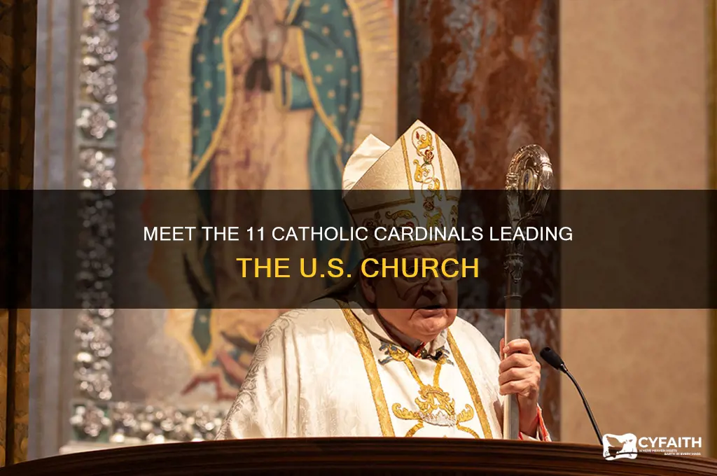 who are the 11 catholic cardinals in the united states