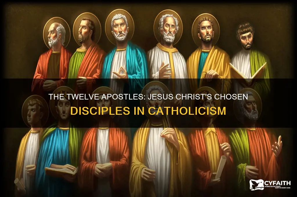 who are the 12 apostles of jesus christ in catholic