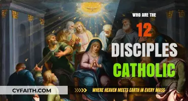 The Catholic Church's 12 Apostles: Their Lives and Legacy