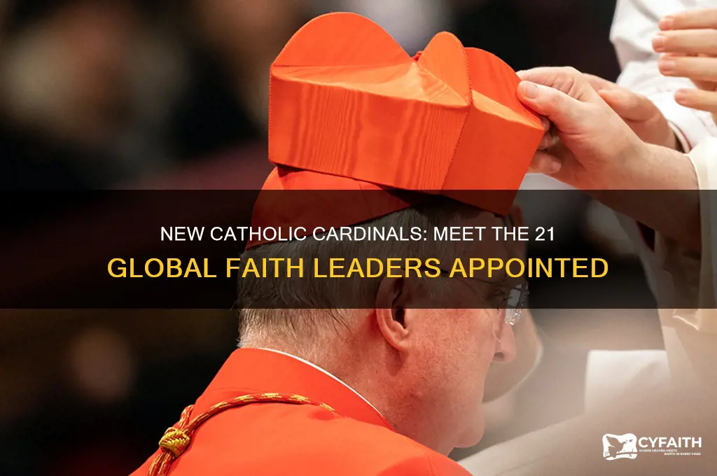 who are the 21 new catholic cardinals