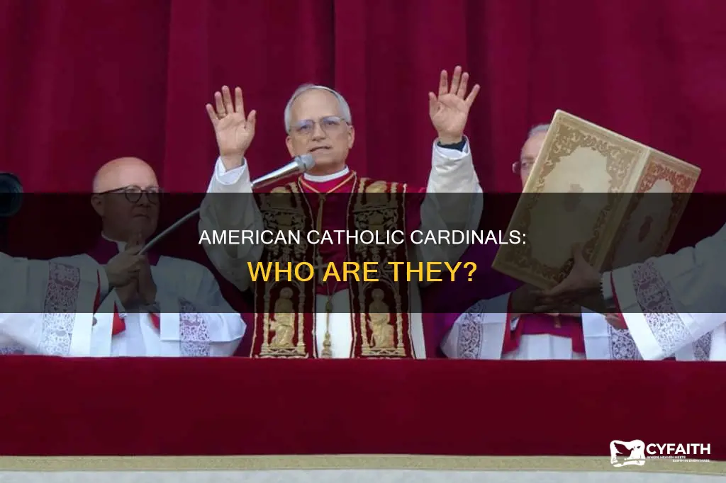 who are the american catholic cardinals