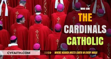 Understanding the Role and Significance of Cardinals in the Catholic Church