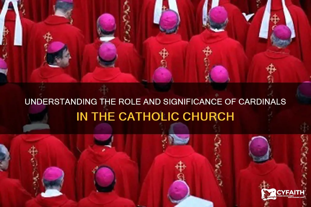 who are the cardinals catholic