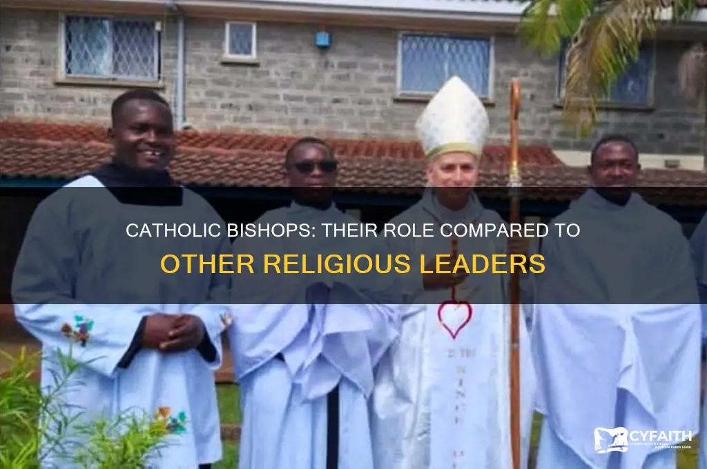 who are the catholic bishops compared to