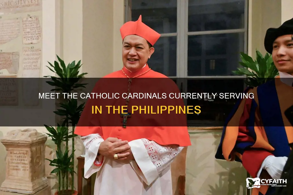 who are the catholic cardinals currently in the philippines