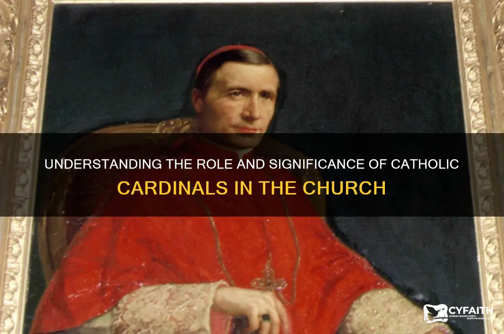 who are the catholic cardinals