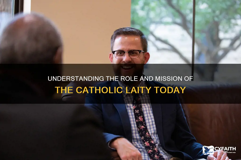 who are the catholic laity