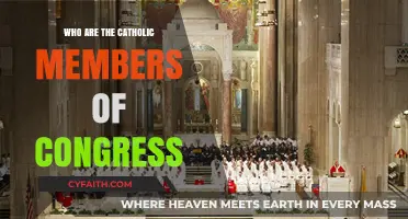 Catholic Members of Congress: Faith and Politics in Washington