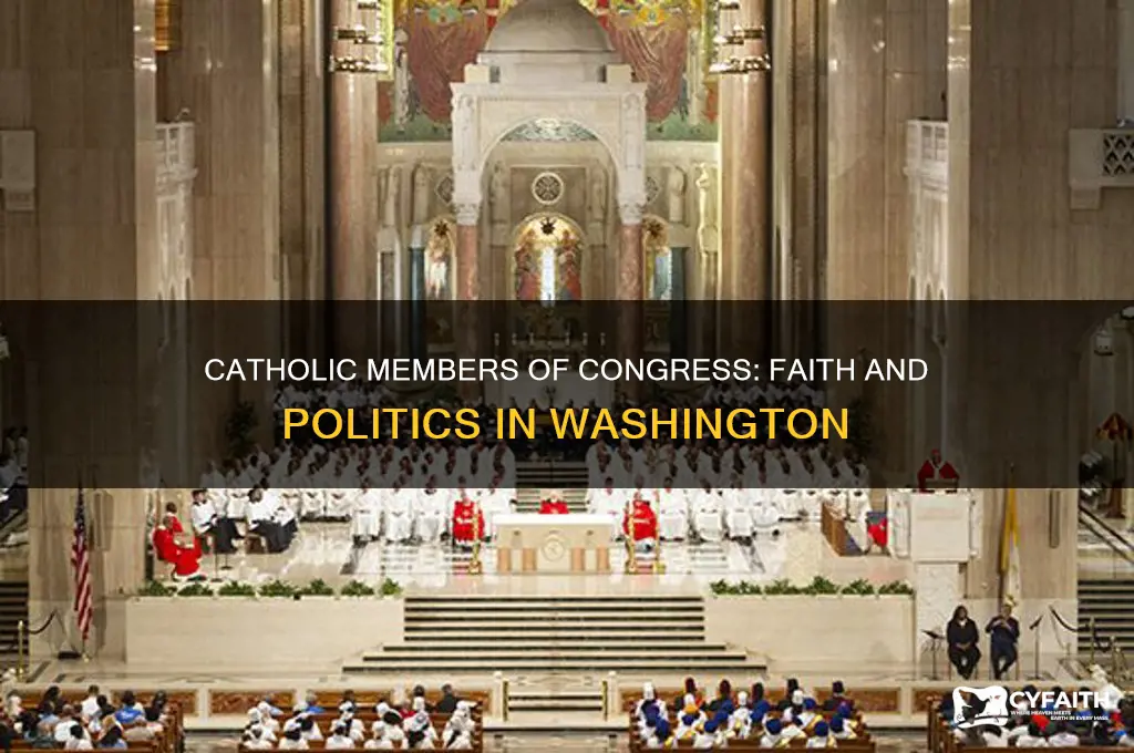 who are the catholic members of congress