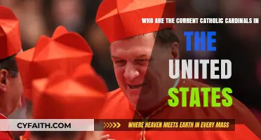 Meet the Current Catholic Cardinals Leading the U.S. Church