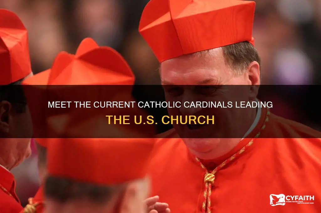 who are the current catholic cardinals in the united states