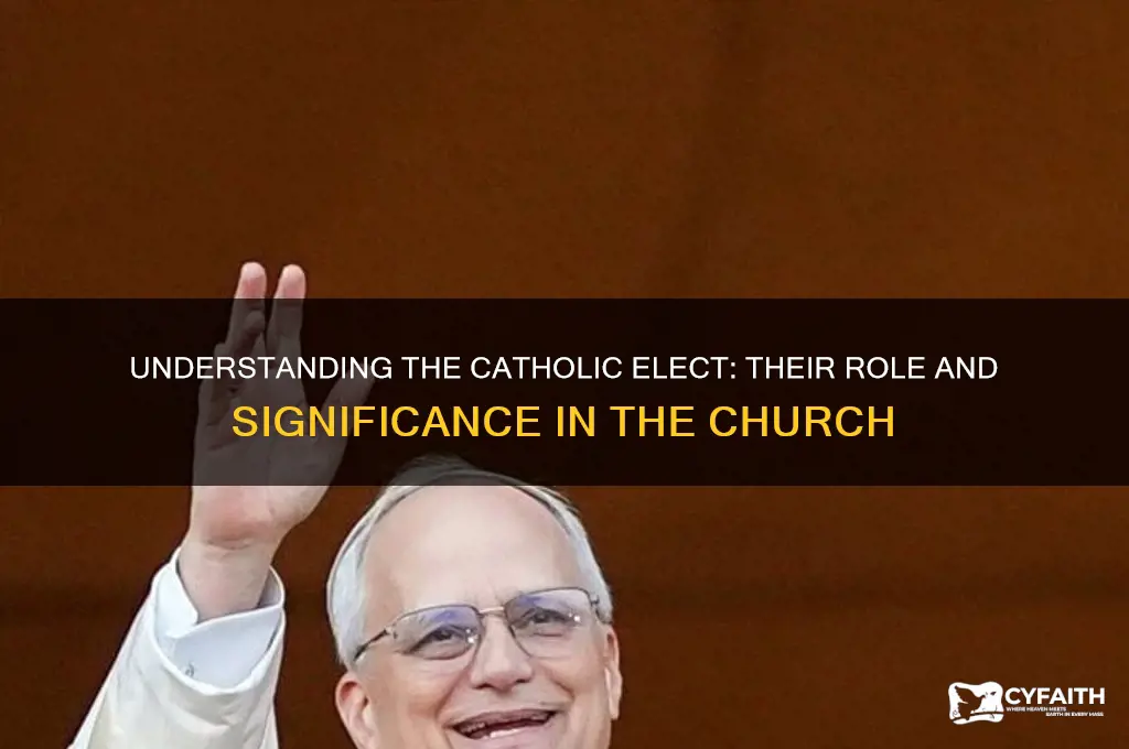 who are the elect catholic