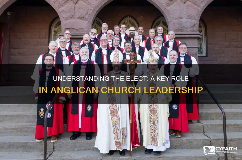 who are the elect in the anglican church