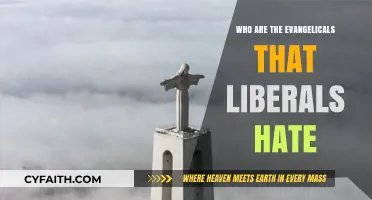 Understanding the Evangelical-Liberal Divide: A Closer Look