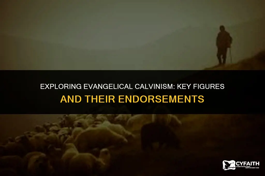 who are the evangelicals who have endosed evangelical calvinism