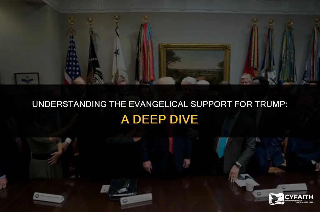 who are the evangelicals whosupported trump