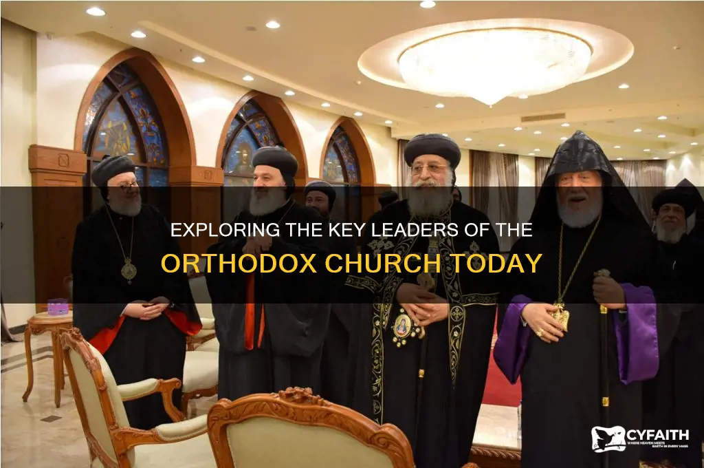 who are the leaders of the orthodox church