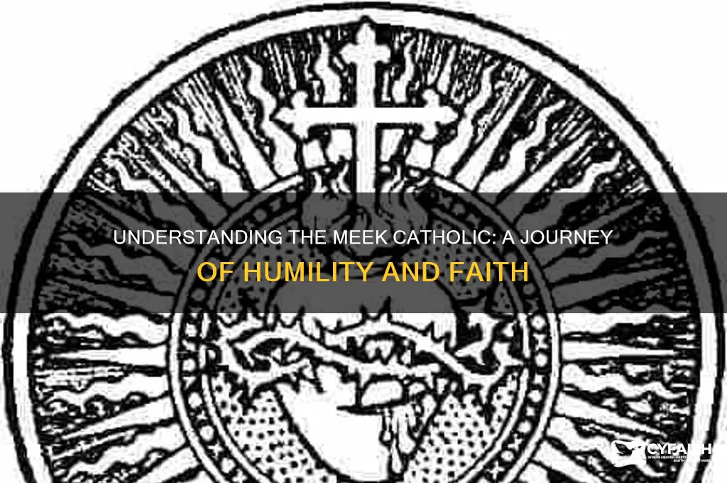who are the meek catholic