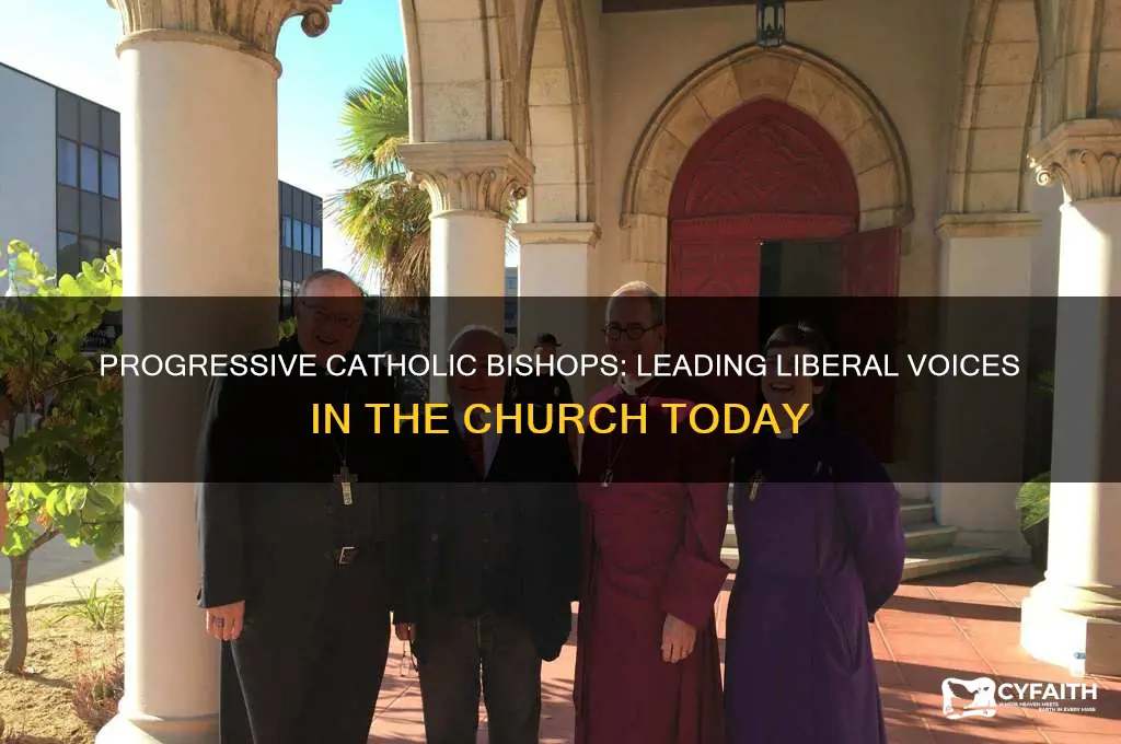 who are the most liberal catholic bishops