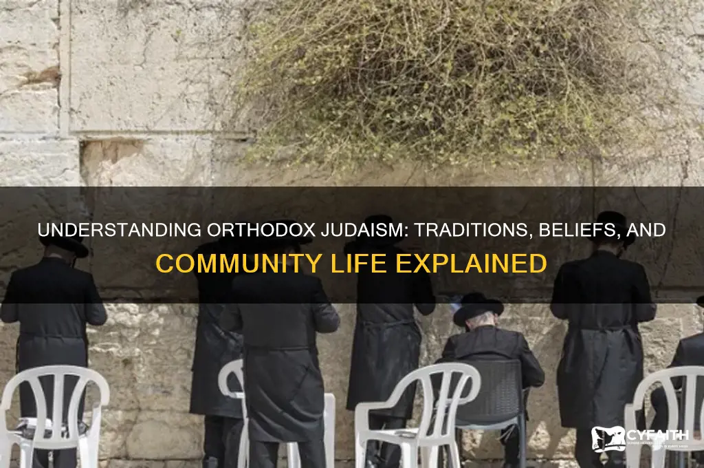 who are the orthodox jewish