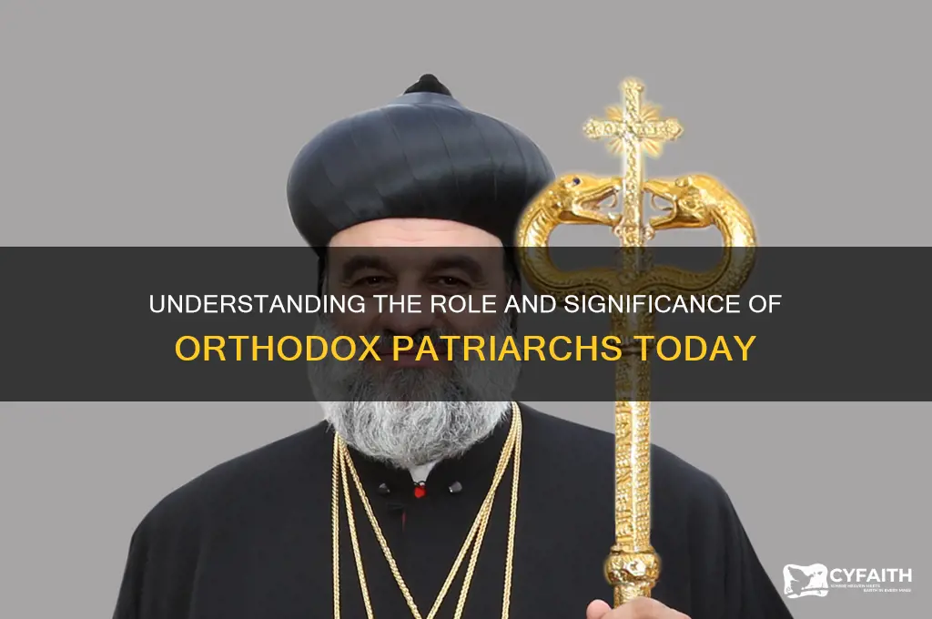 who are the orthodox patriarchs
