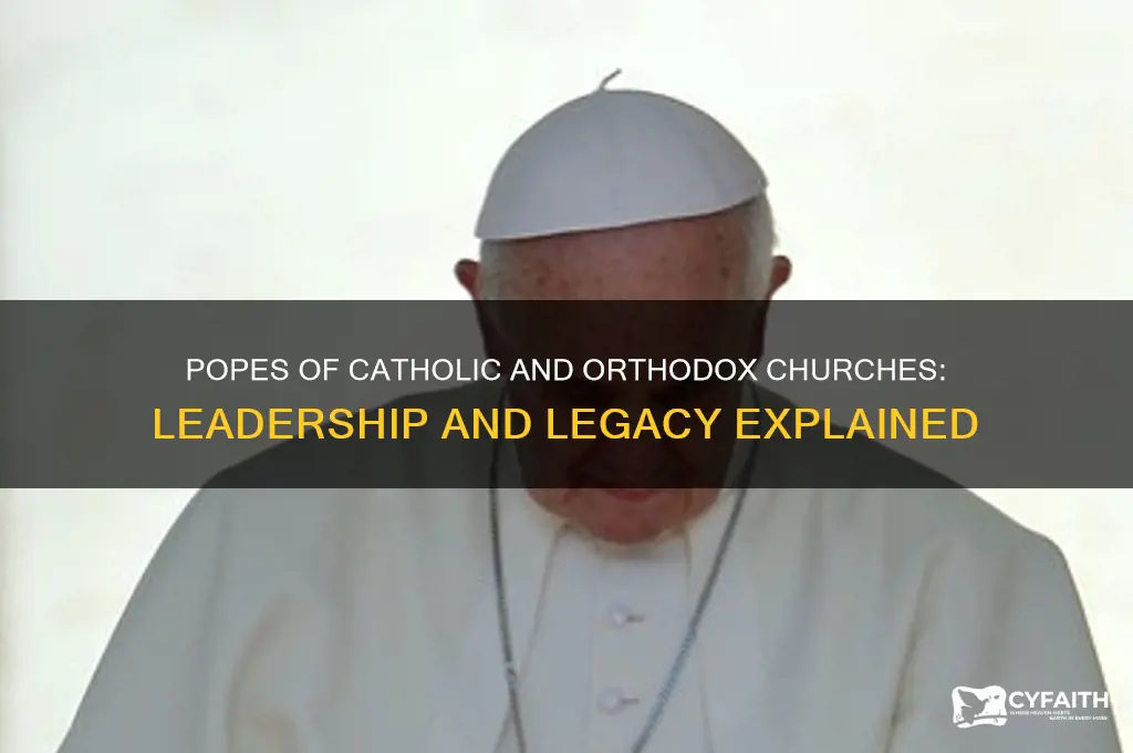 who are the popes for the catholic and orthodox church