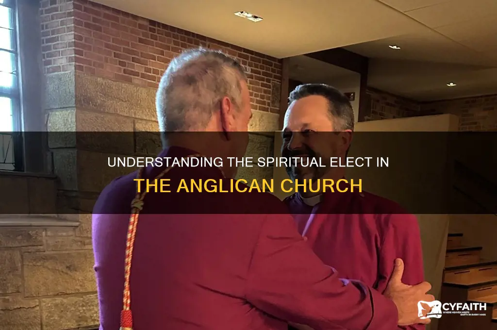 who are the spiritual elect in the anglican church