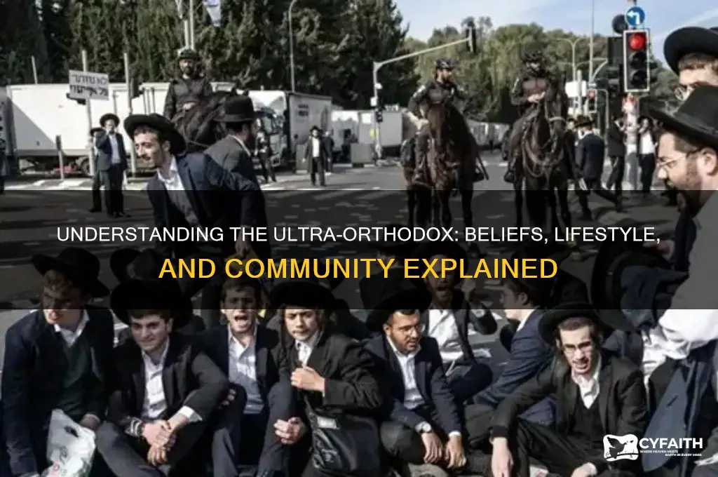 who are the ultra orthodox