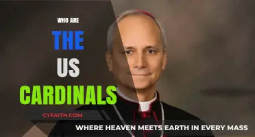 Who Are the US Cardinals? Exploring Their Roles and Influence