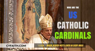 Meet the US Catholic Cardinals: Leaders of Faith and Tradition