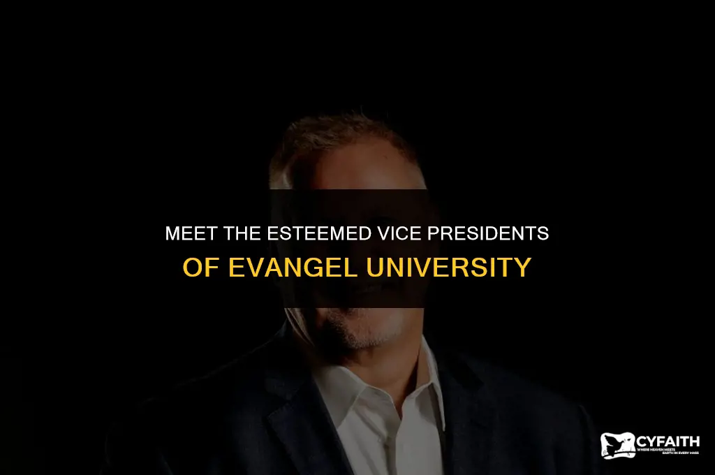 who are the vice presidents of evangel university