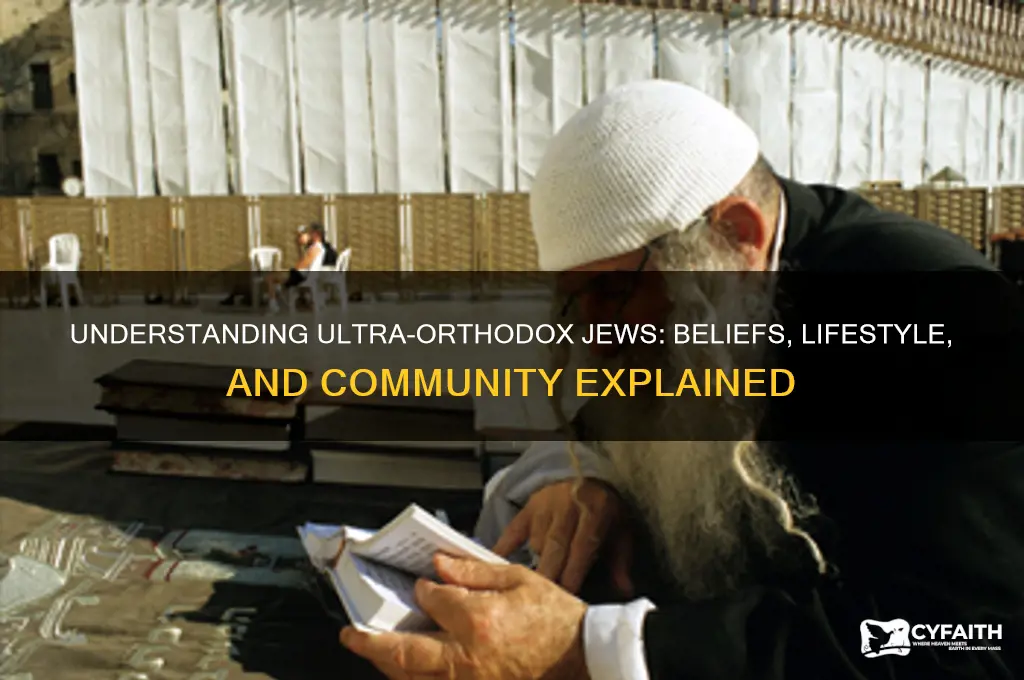 who are ultra orthodox jews