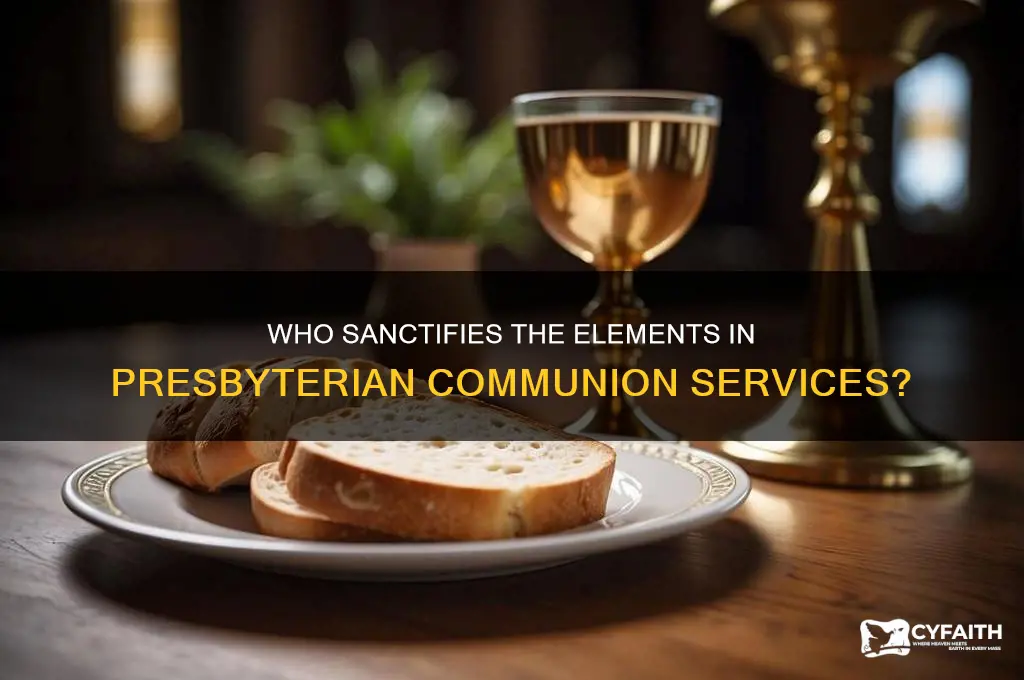 who blesses the elements in presbyterian church