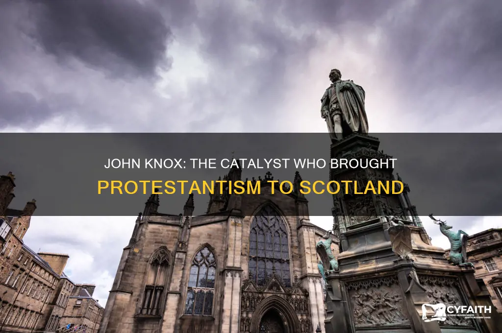who brought protestant faith to scotland