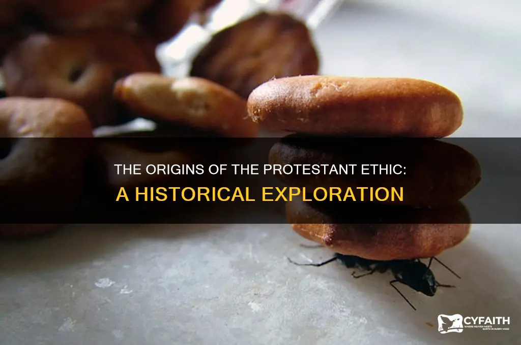 who came up with protestant ethic